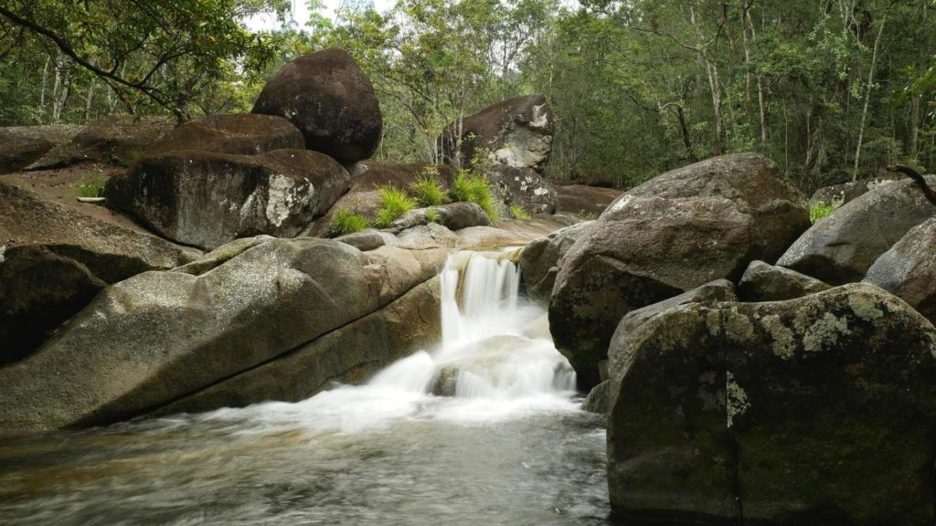 Things to do between Cairns and Port Douglas Drive from Cairns to Port Douglas Cairns to Palm Cove, Palm Cove to Port Douglas Cairns to Port Douglas drive Palm Cove Kuranda Hartley’s Stop off at beaches Mossman Gorge Mareebah