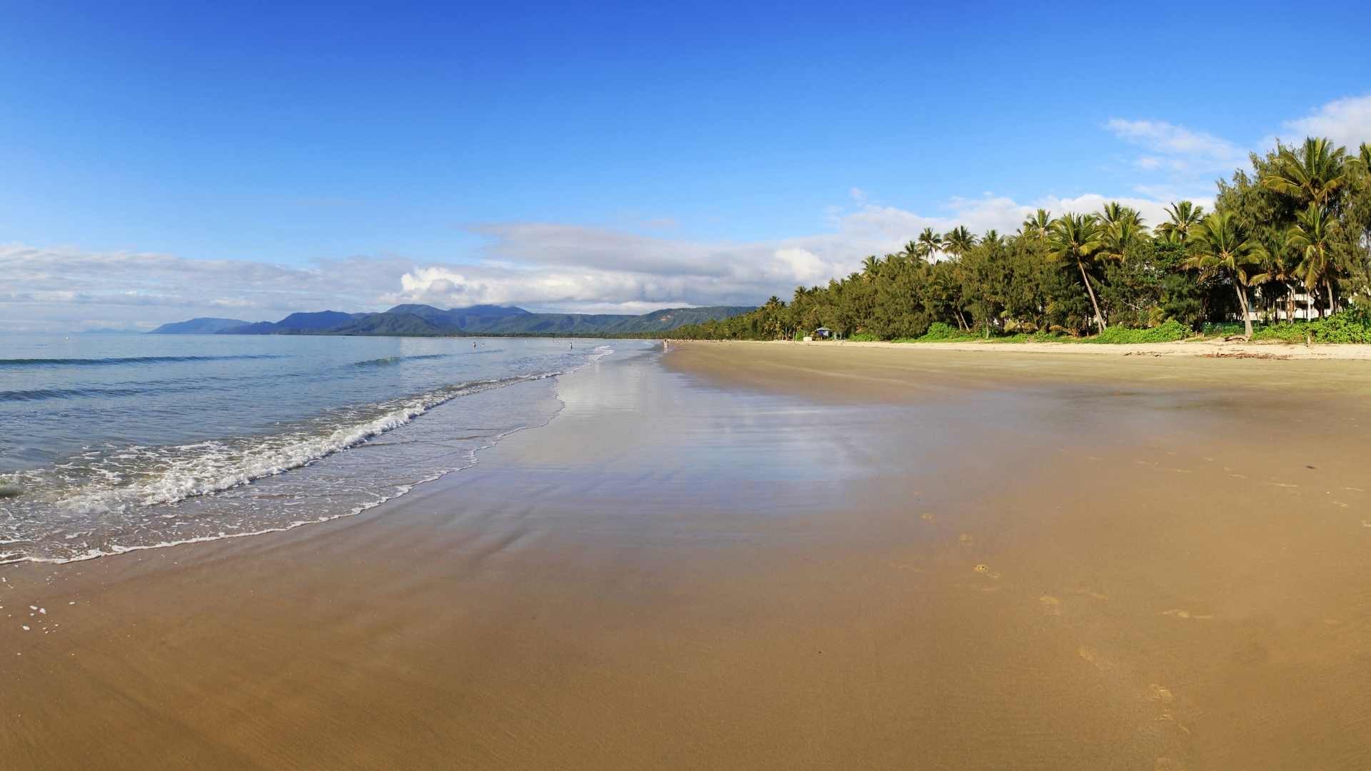 Things to do between Cairns and Port Douglas Drive from Cairns to Port Douglas Cairns to Palm Cove, Palm Cove to Port Douglas Cairns to Port Douglas drive Palm Cove Kuranda Hartley’s Stop off at beaches Mossman Gorge Mareebah