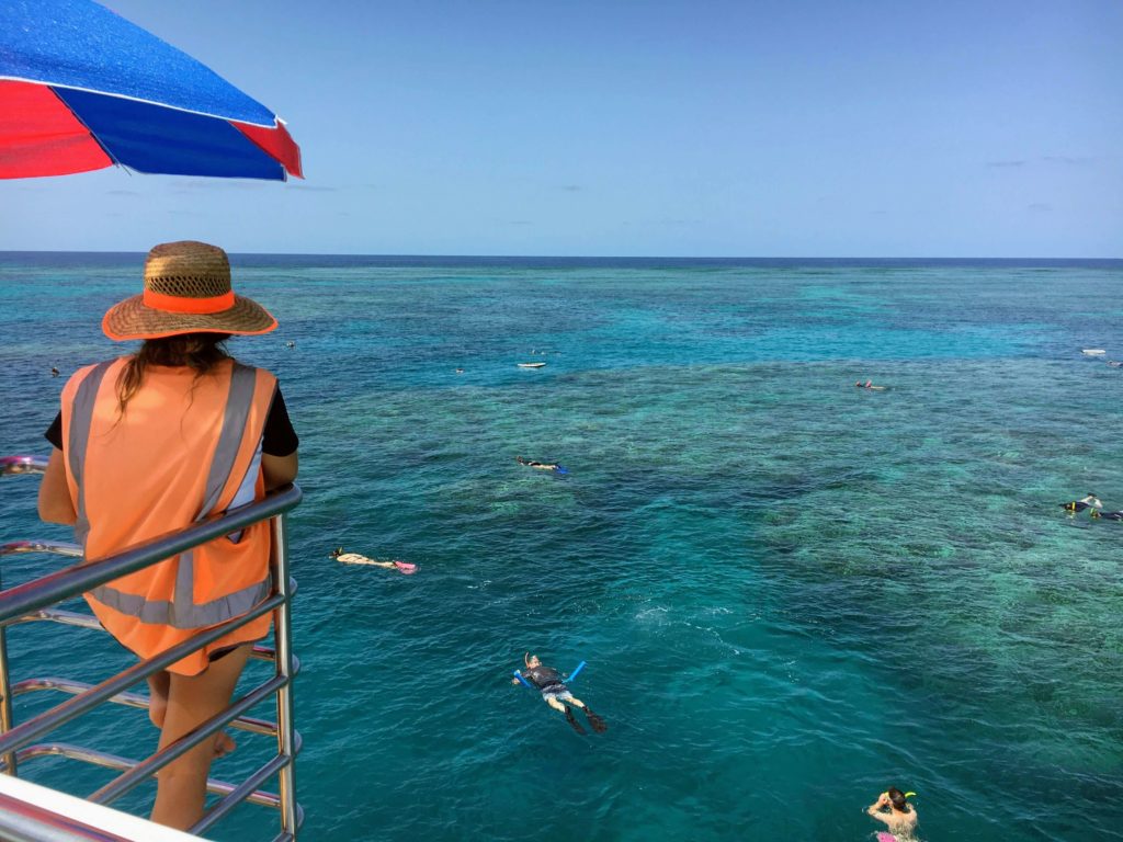 Evolution great barrier reef snorkeling tour Evolution great barrier reef tour Evolution reef cruise Cairns snorkeling cheap Snorkeling in cairns Best great barrier reef tours