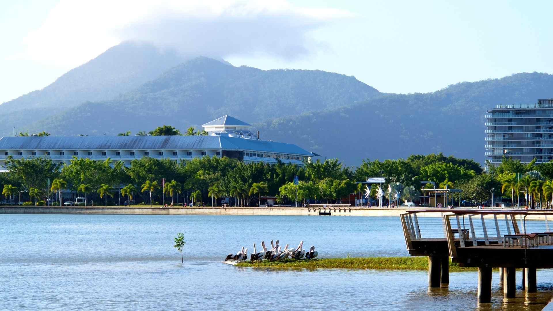 Cairns 4 day Itinerary Day 1 - Explore the city, Aquarium, Hemingway’s Brewery, Esplanade Day 2 - Great Barrier Reef Tour Day 3 - Explore water falls Day 4 - Kuranda Scenic Train and Tour