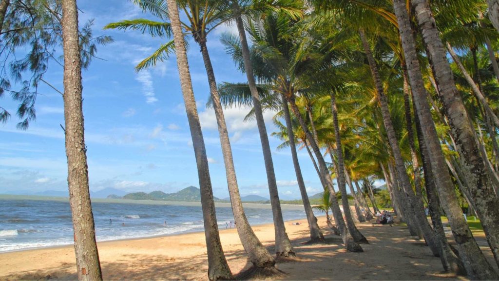 Things to do between Cairns and Port Douglas Drive from Cairns to Port Douglas Cairns to Palm Cove, Palm Cove to Port Douglas Cairns to Port Douglas drive Palm Cove Kuranda Hartley’s Stop off at beaches Mossman Gorge Mareebah