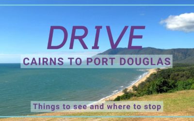 6 Things to Do on the Cairns to Port Douglas Drive