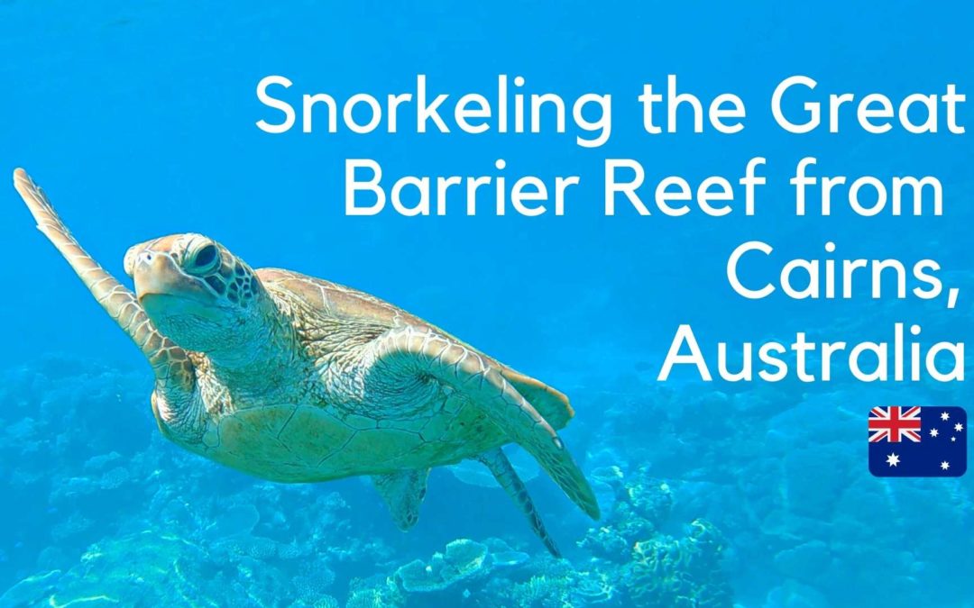 Cairns Great Barrier Reef Snorkeling – The Evolution Reef Cruise