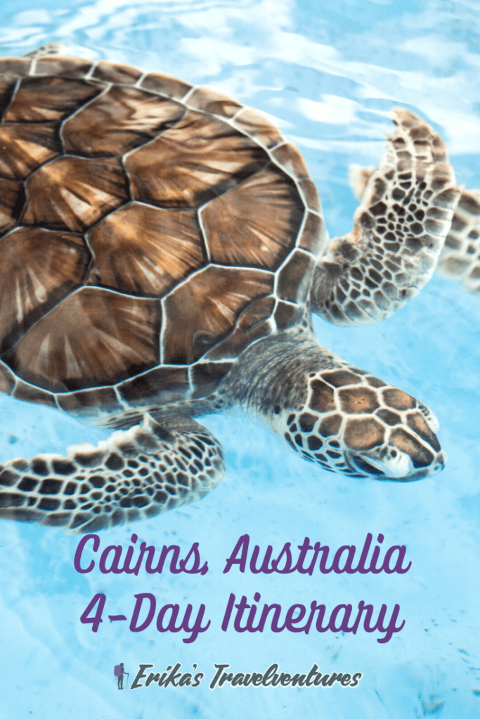 Cairns 4 day Itinerary Day 1 - Explore the city, Aquarium, Hemingway’s Brewery, Esplanade Day 2 - Great Barrier Reef Tour Day 3 - Explore water falls Day 4 - Kuranda Scenic Train and Tour