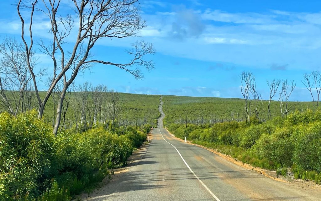 Flinders Chase National Park Things to do in Flinders Chase National Park Flinders Chase Accommodation How to get to Flinders Chase National Park Flinders Chase National Park Entry Fee Flinders Chase Kangaroo Island Flinders Chase Visitor's Center Information Centre