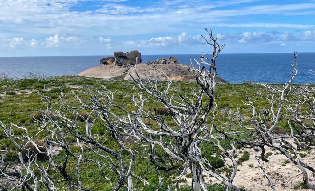 Flinders Chase National Park Things to do in Flinders Chase National Park Flinders Chase Accommodation How to get to Flinders Chase National Park Flinders Chase National Park Entry Fee Flinders Chase Kangaroo Island Flinders Chase Remarkable Rocks