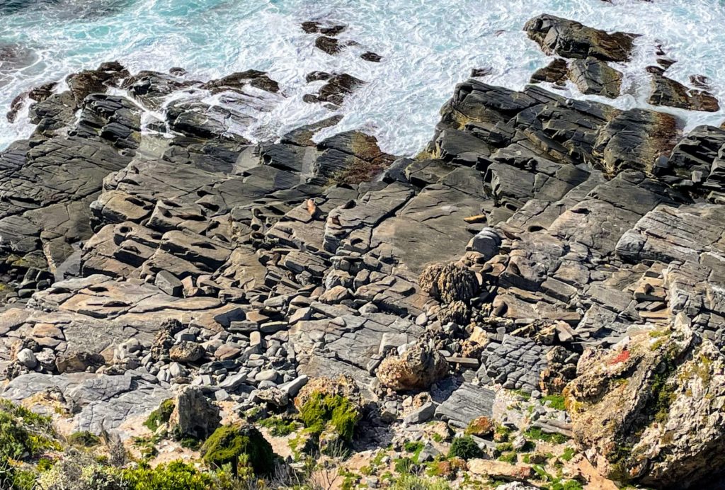 Flinders Chase National Park Things to do in Flinders Chase National Park Flinders Chase Accommodation How to get to Flinders Chase National Park Flinders Chase National Park Entry Fee Flinders Chase Kangaroo Island Flinders Chase Visitor's Center fur seal lookout