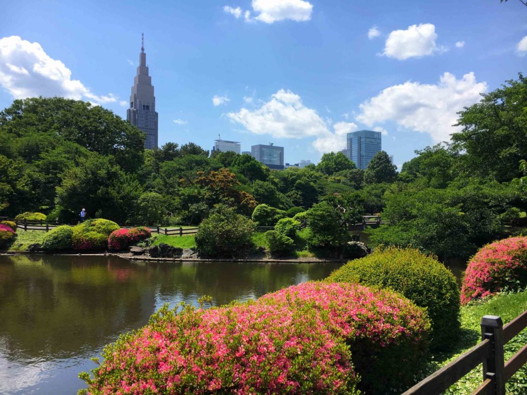 Visiting Shinjuku Gyoen Tokyo Japan, Shinjuku Gyoen Imperial Garden and Park