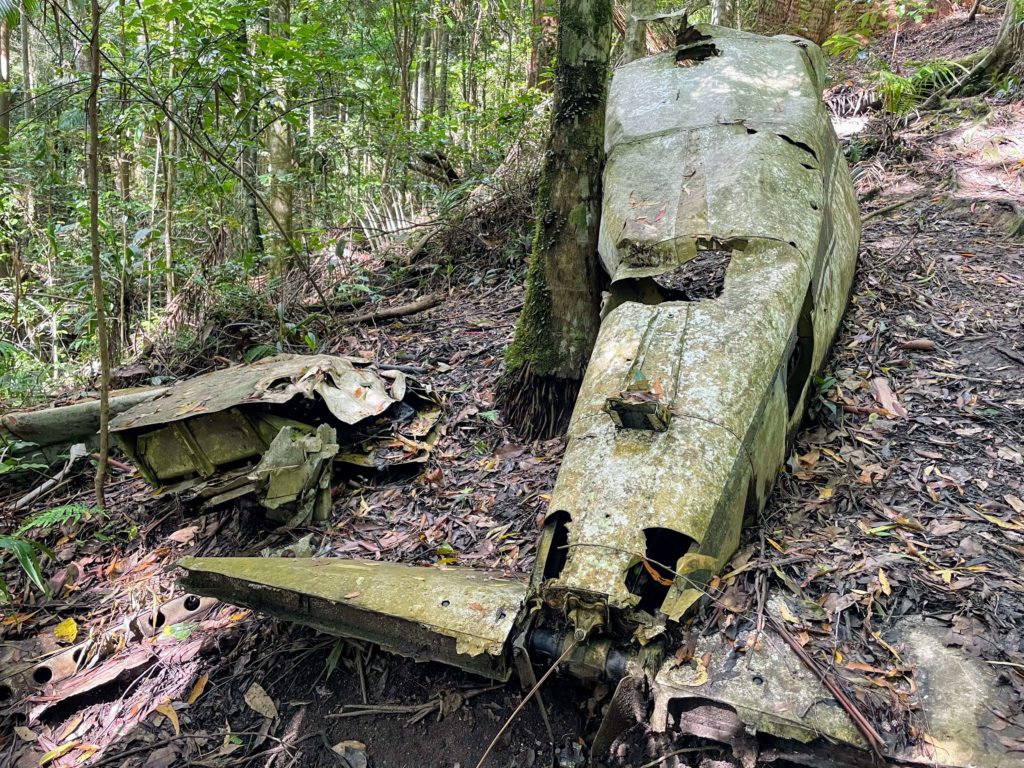 Hiking the Piper Comanche Wreck Trail in 2022, Piper Comanche bushwalk from Brisbane, Piper Comanche Wreck hiking D'Aguilar National Park, hikes near Brisbane, Piper Comanche wreck Brisbane bushwalking, what to expect on the Piper Comanche trail