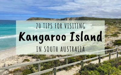 20 Must-Read Tips for Visiting Kangaroo Island, South Australia