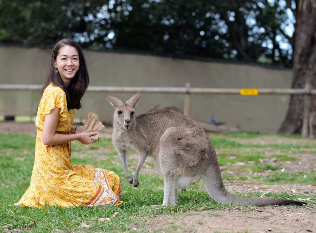 Tips for visiting lone pine koala sanctuary, lone pine koala sanctuary tickets opening days, tips for visiting lone pine, koala sanctuary Brisbane Australia