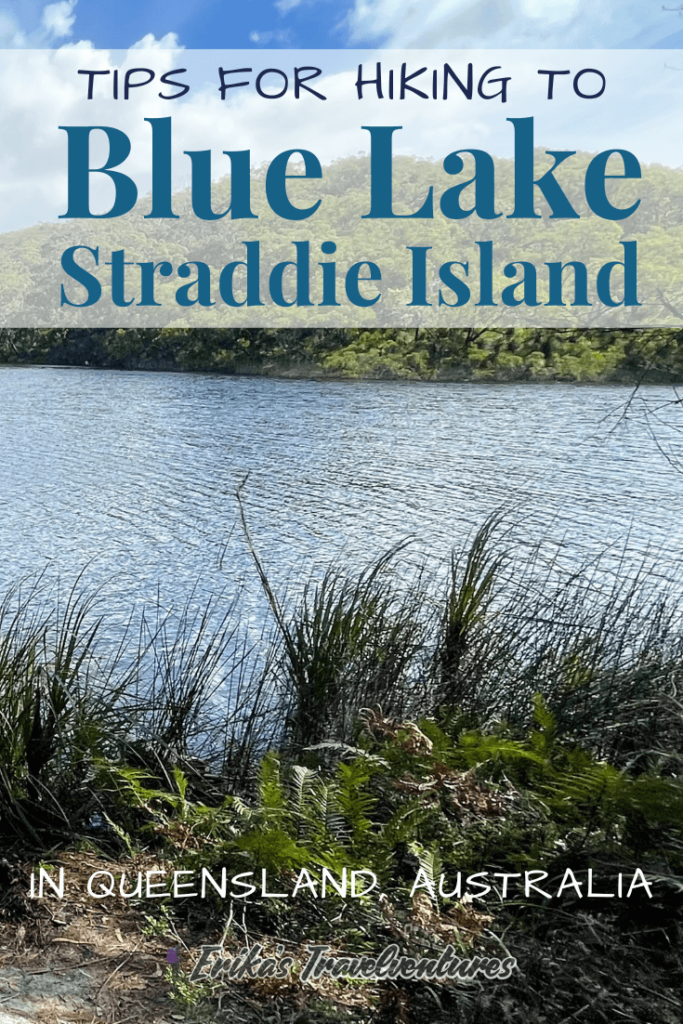 Hiking to the Blue Lake on North Stradbroke Island, Blue Lake Kaboora hike on Straddie, things to know before hiking Blue Lake Straddie, guide to hiking Blue Lake Stradbroke Island bushwalking