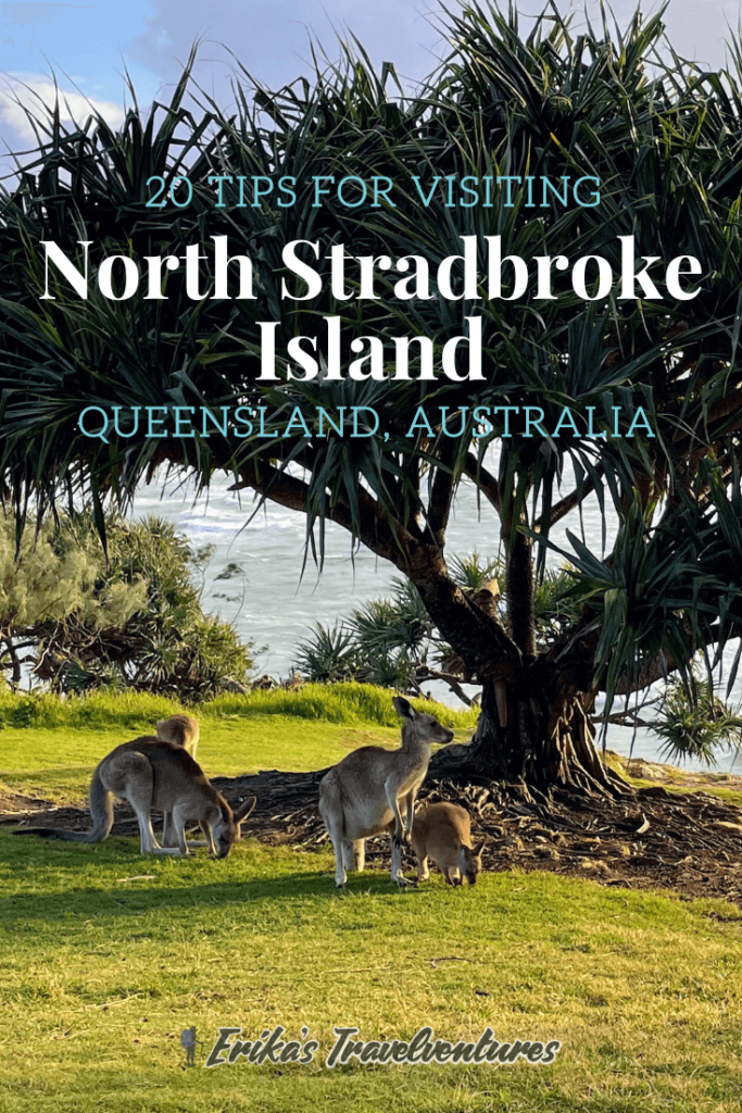 Tips for visiting Stradbroke Island, Queensland, tips for visiting Minjerribah, tips for visiting North Stradbroke Island from Brisbane, tips for visiting Straddie, Stradbroke island tips, things to know before visiting North Stradbroke Island, Queensland Australia pinterest