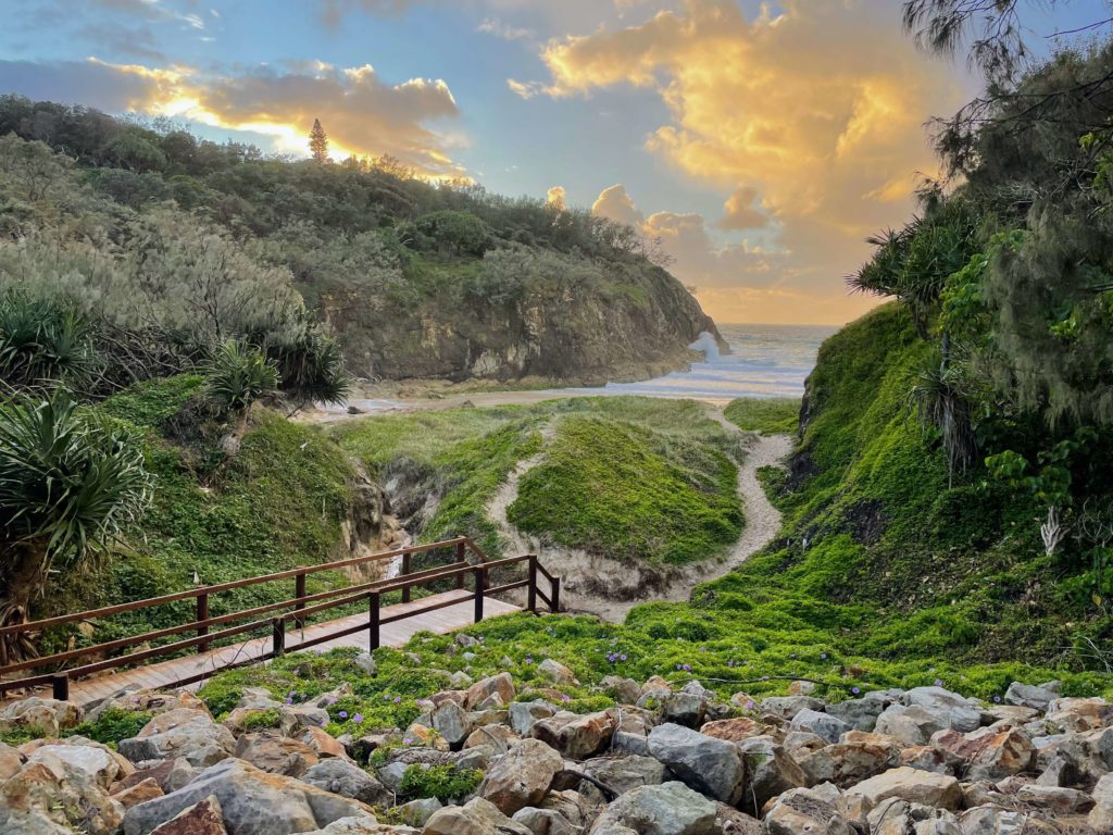 Tips for visiting Stradbroke Island, Queensland, tips for visiting Minjerribah, tips for visiting North Stradbroke Island from Brisbane, tips for visiting Straddie, Stradbroke island tips, things to know before visiting North Stradbroke Island, Queensland Australia, sunrise on Straddie with kangaroos