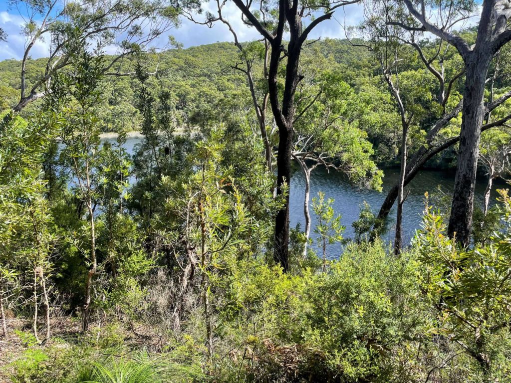 Hiking to the Blue Lake on North Stradbroke Island, Blue Lake Kaboora hike on Straddie, things to know before hiking Blue Lake Straddie, guide to hiking Blue Lake Stradbroke Island bushwalking