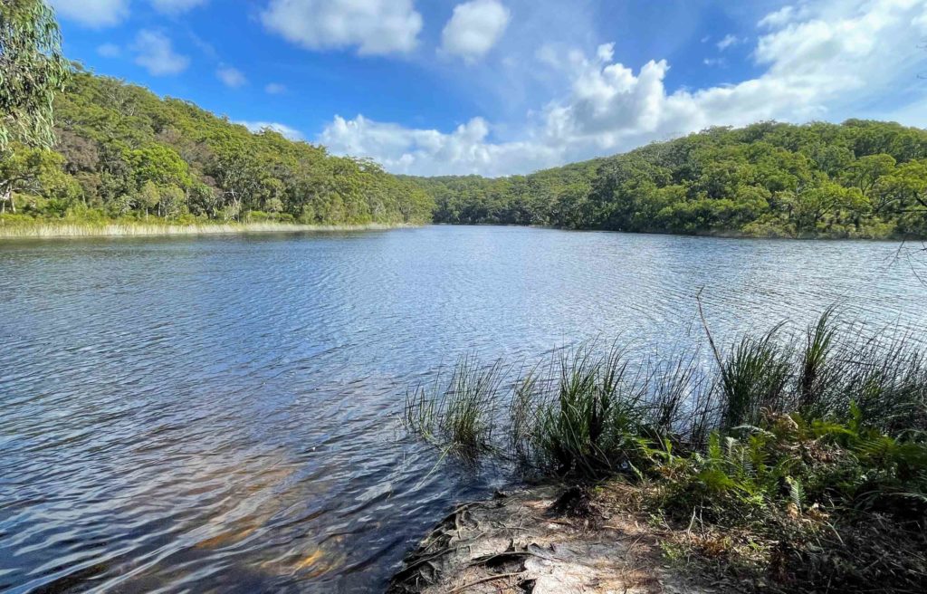 Hiking to the Blue Lake on North Stradbroke Island, Blue Lake Kaboora hike on Straddie, things to know before hiking Blue Lake Straddie, guide to hiking Blue Lake Stradbroke Island bushwalking