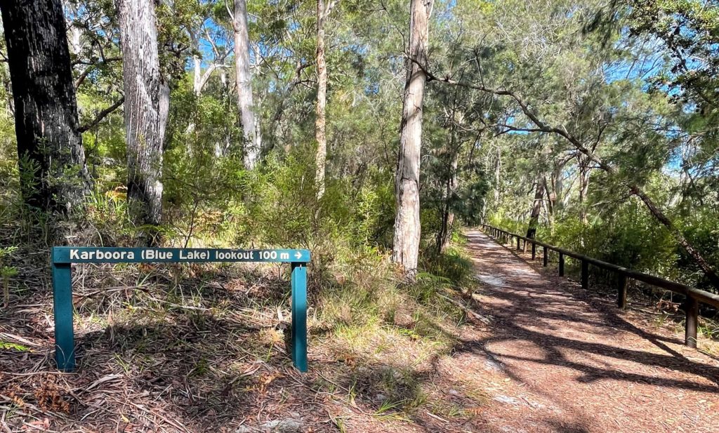 Tips for visiting Stradbroke Island, Queensland, tips for visiting Minjerribah, tips for visiting North Stradbroke Island from Brisbane, tips for visiting Straddie, Stradbroke island tips, things to know before visiting North Stradbroke Island, Queensland Australia, sunrise on Straddie with kangaroos