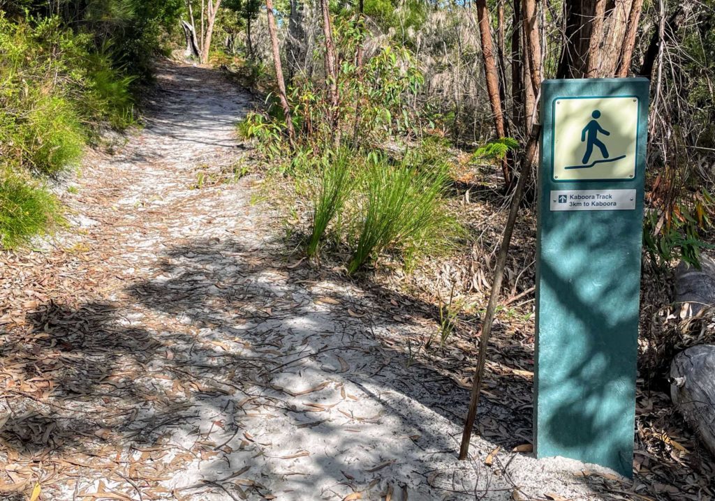 Hiking to the Blue Lake on North Stradbroke Island, Blue Lake Kaboora hike on Straddie, things to know before hiking Blue Lake Straddie, guide to hiking Blue Lake Stradbroke Island bushwalking