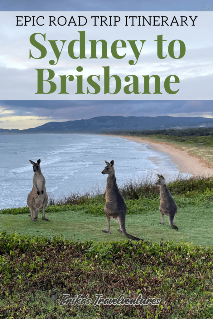 Sydney to Brisbane drive, road trip Sydney to Brisbane itinerary, 7-day itinerary Sydney to Brisbane drive