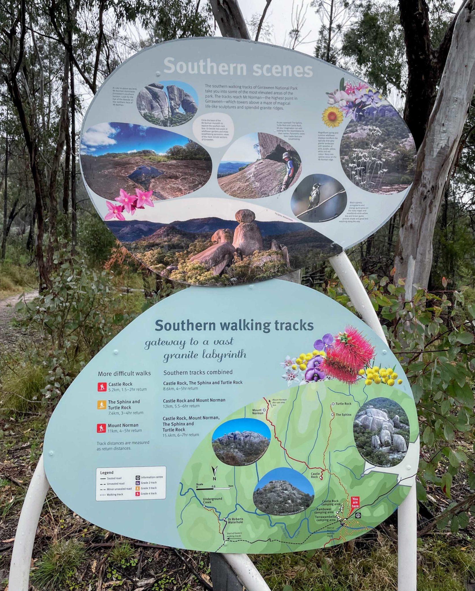 Turtle Rock and The Sphinx Hike at Girraween National Park - Erika's ...