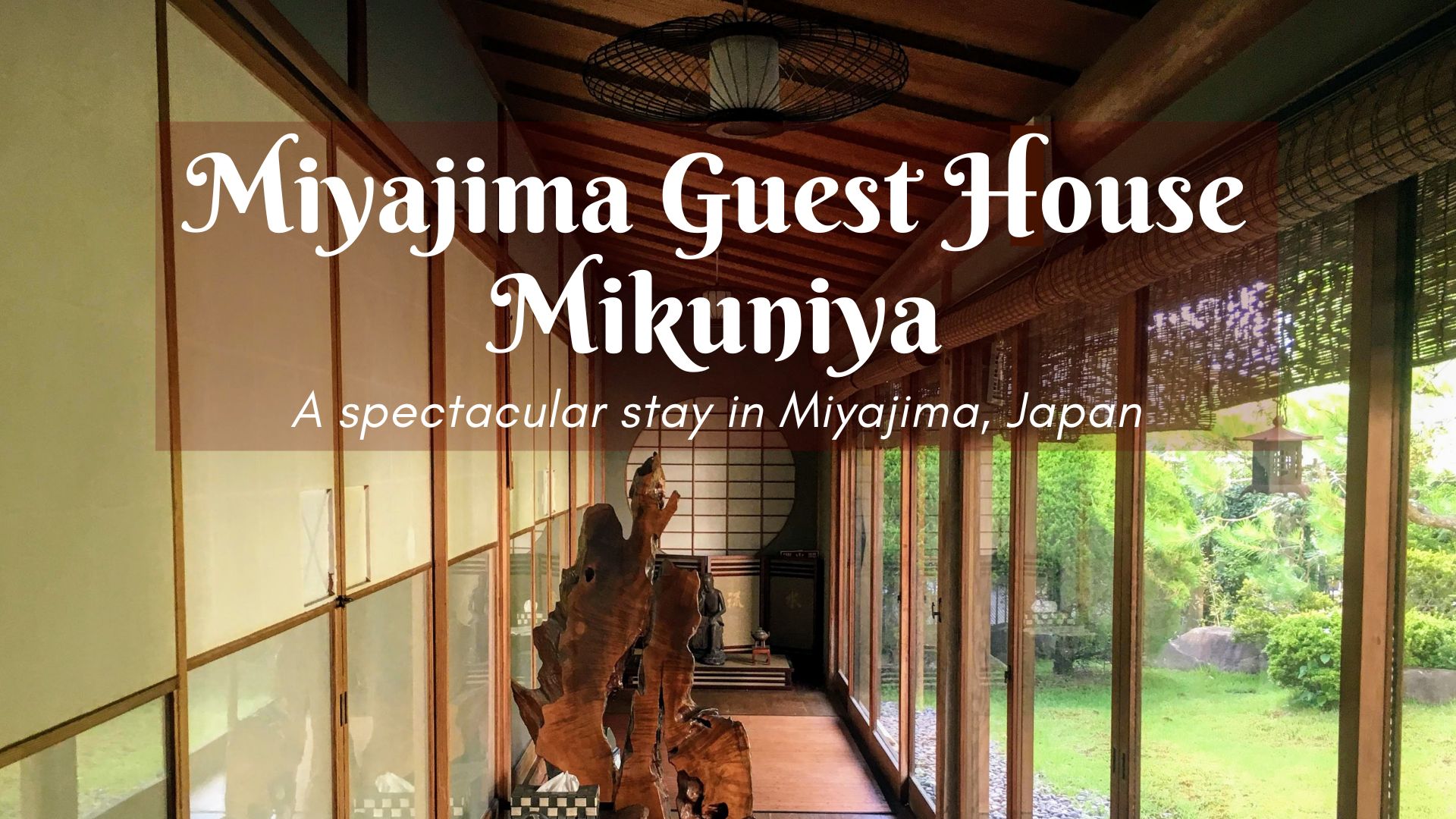 Miyajima Guest House Mikuniya, miyajima deer, best budget accommodation on miyajima hiroshima, japanese garden, white tanuki, ryokan guesthouse and hostel, Japanese culture and handicrafts station cover best place to stay in Miyajima near Hiroshima