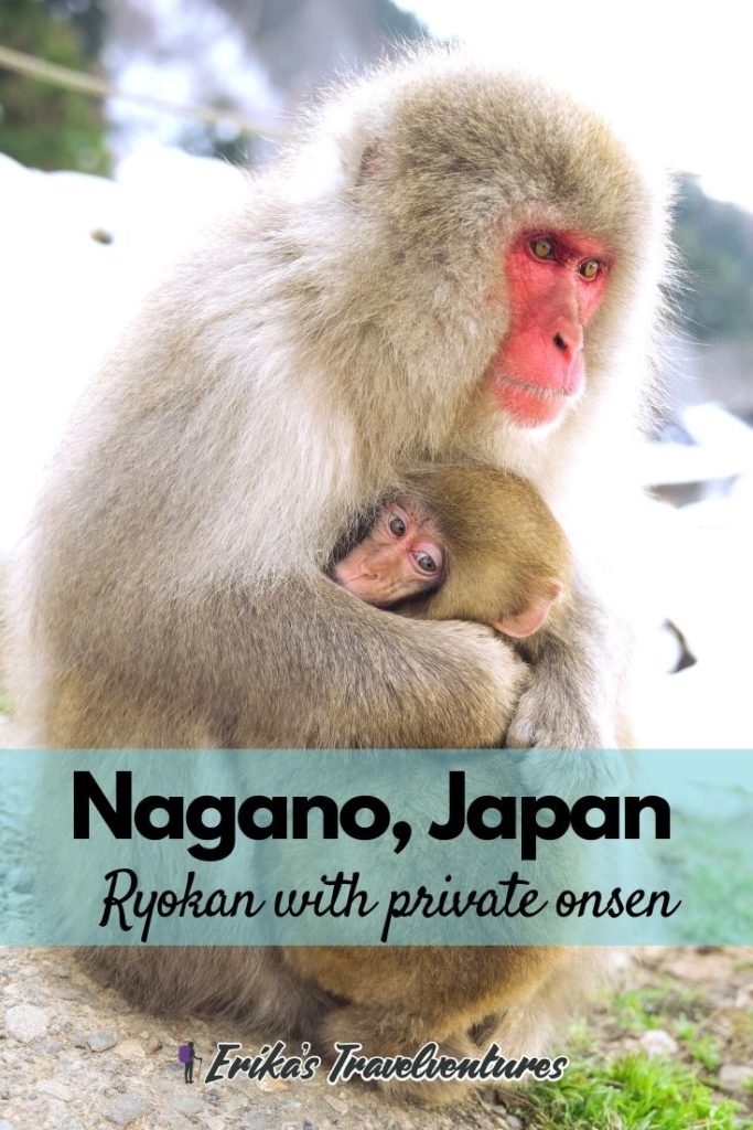 Jigokudani monkey park, snow monkeys in Japan, Nagano ryokan with private onsen, Nagano hotels with private onsen, Nagano private onsen, Ryokan in Nagano with private onsen