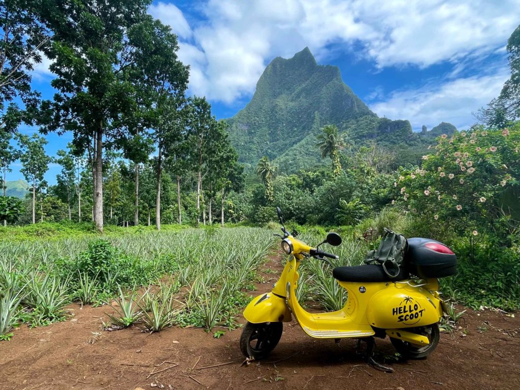 Scooter rental in Tahiti, Scooter rental in Moorea, Hello Scoot rental in Tahiti, electric scooter rental in Tahiti. Rent a scooter in Tahiti, eco friendly travel