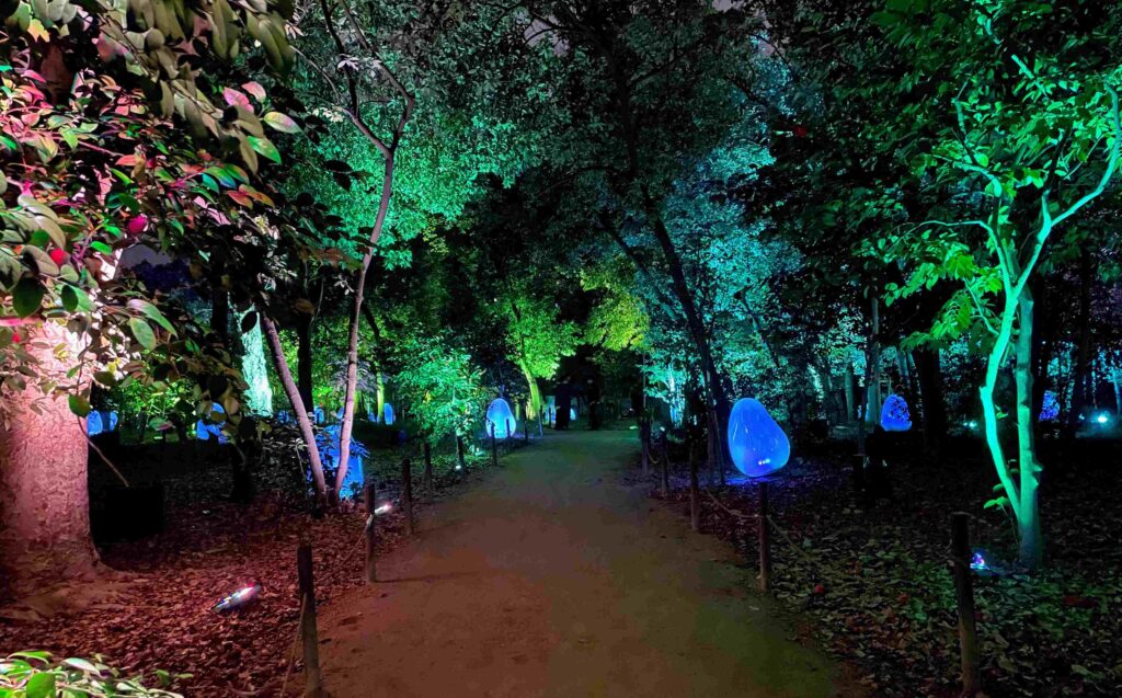 Teamlab Tokyo vs Teamlab Osaka which is better? Teamlab Planets vs Teamlab Botanic. Teamlab Planets and Borderless vs Teamlab Botanical Gardens. Teamlab Planets Tokyo vs Teamlab Botanic Osaka. Teamlab Botanic Garden Nagai Botanical Garden Osaka