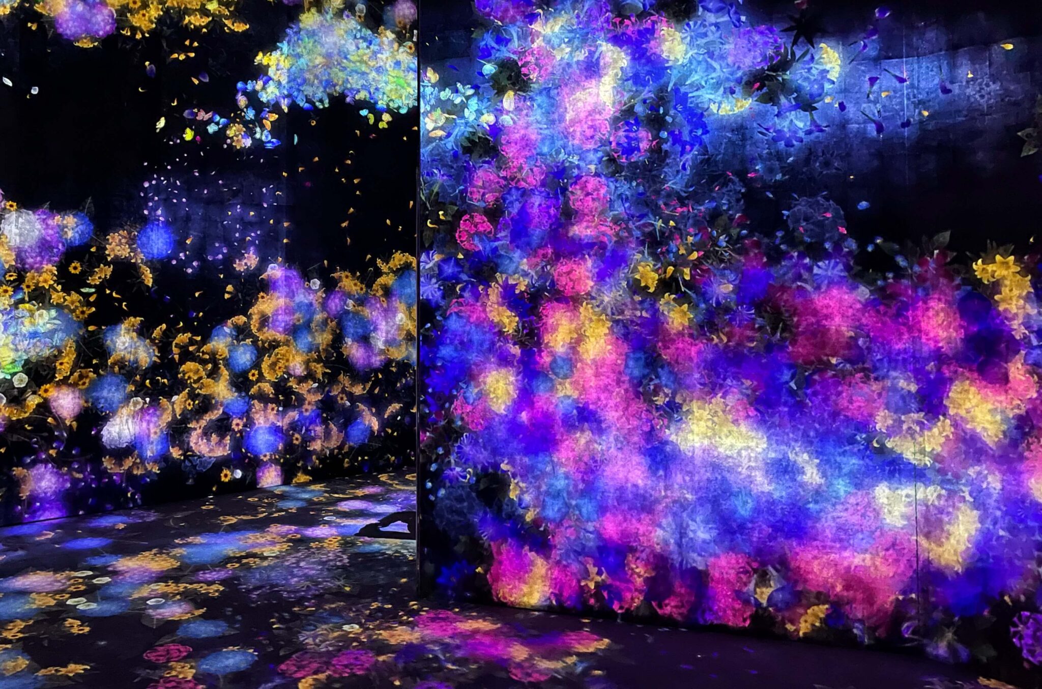 Teamlab Planets or Teamlab Borderless, which one should you visit? Teamlab Borderless vs Teamlab Planets, Borderless or Planets, Teamlab Borderless or Planets, which is better?