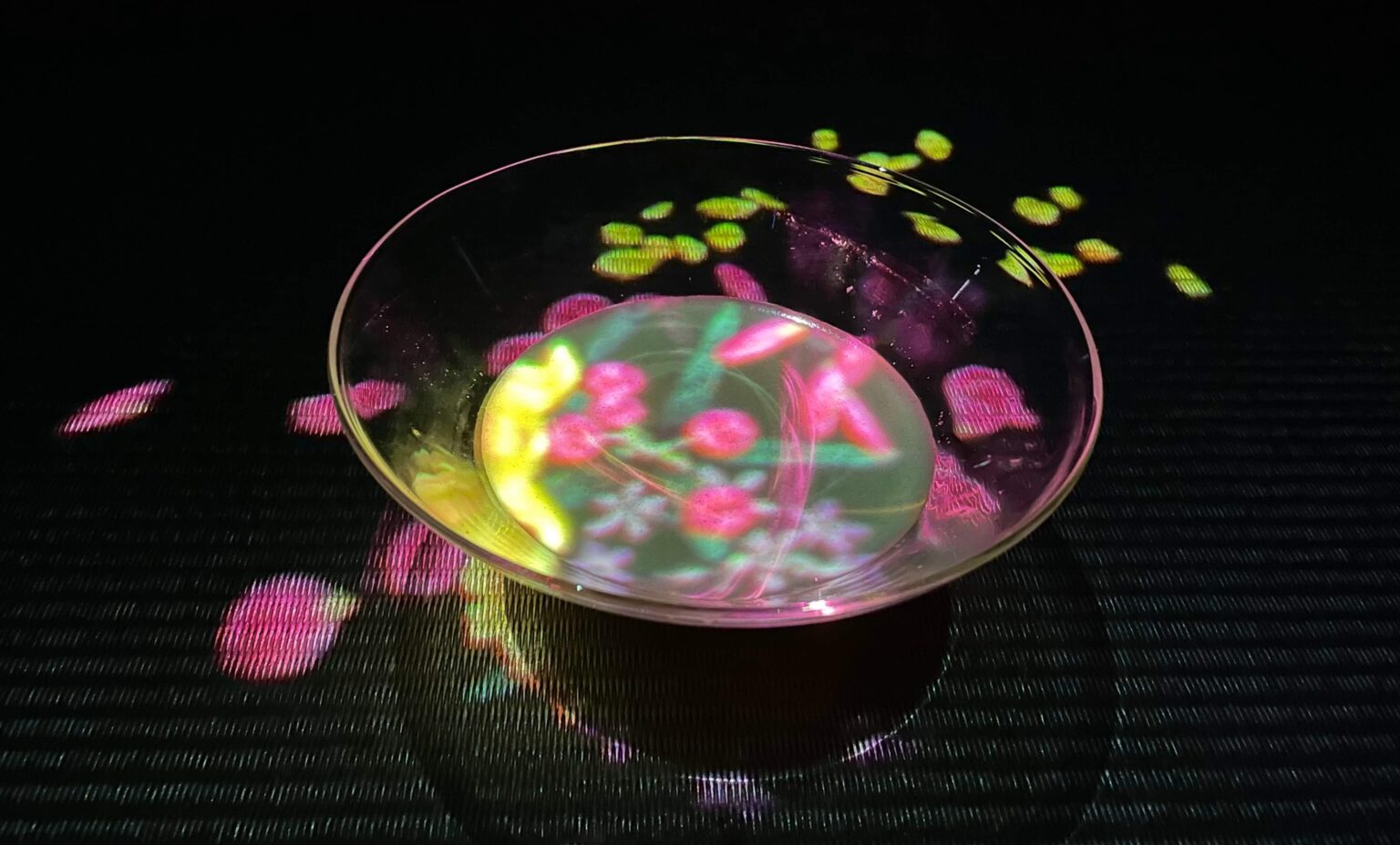 Teamlab Borderless vs Teamlab Which Is Better? Erika