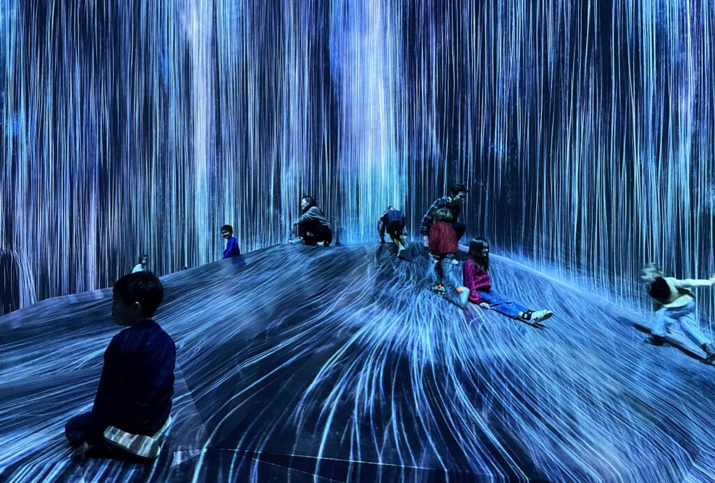 Teamlab Planets or Teamlab Borderless, which one should you visit? Teamlab Borderless vs Teamlab Planets, Borderless or Planets, Teamlab Borderless or Planets, which is better?