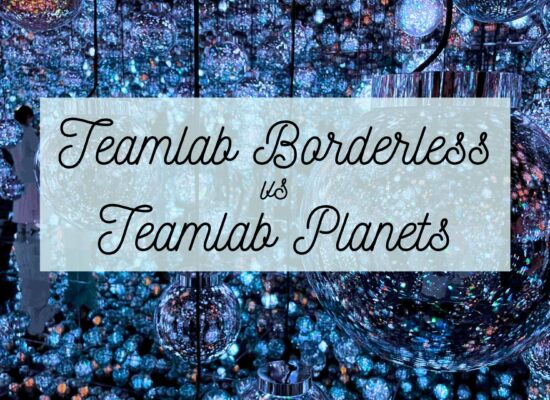 Teamlab Planets or Teamlab Borderless, which one should you visit? Teamlab Borderless vs Teamlab Planets, Borderless or Planets, Teamlab Borderless or Planets, which is better?