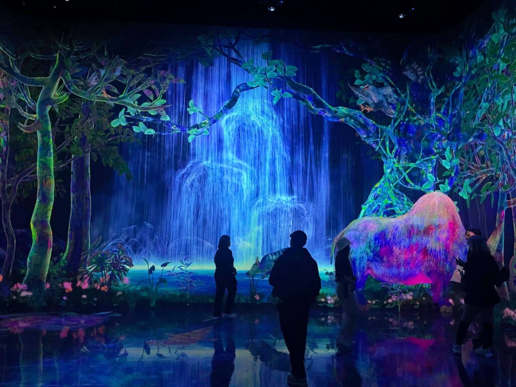 Teamlab Tokyo vs Teamlab Osaka which is better? Teamlab Planets vs Teamlab Botanic. Teamlab Planets and Borderless vs Teamlab Botanical Gardens. Teamlab Planets Tokyo vs Teamlab Botanic Osaka. Teamlab Planets walking through water