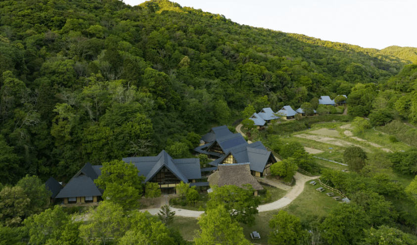 Weirdest hotels in Japan, weird and unusual hotels Japan, weird hotel Japan, cool hotel Japan, unique hotel Japan, Teamlab hotel Japan