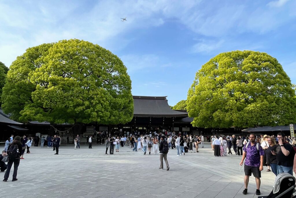 Meiji Jingu, three days in Tokyo itinerary, Three day Tokyo Japan, Things to do in Tokyo, visit Meiji Jingu Shrine in Tokyo