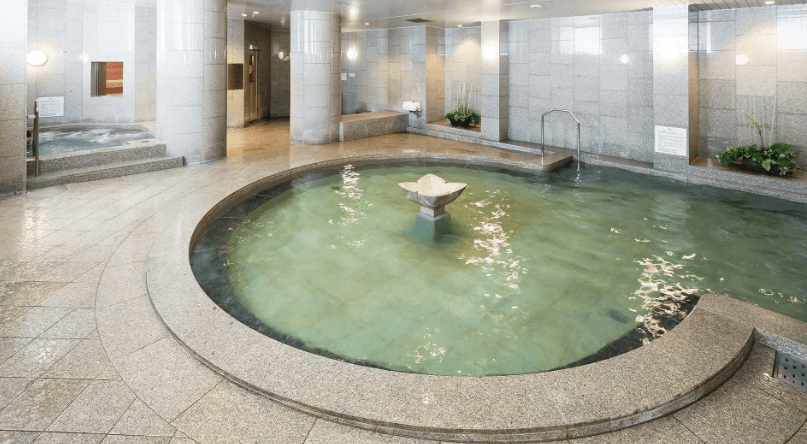 Sapporo hotels with onsen, Sapporo city view, Sapporo onsen hotels, Sapporo hotels with private onsen