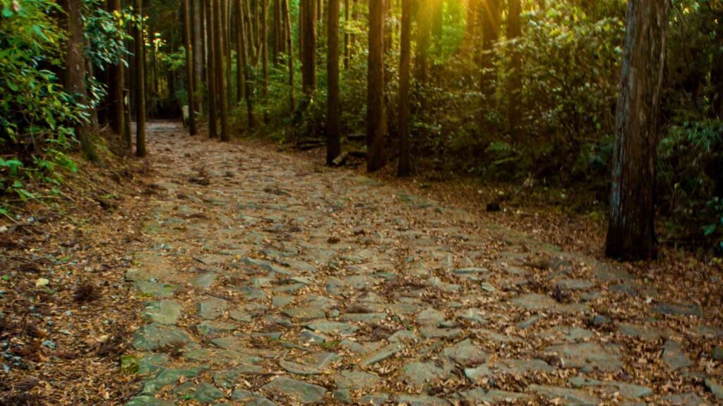 Things to do in Hakone, Hakone activties, unique things to do in Hakone, Japan. Off the beaten track Hakone, Hakone freepass, Hakone loop route