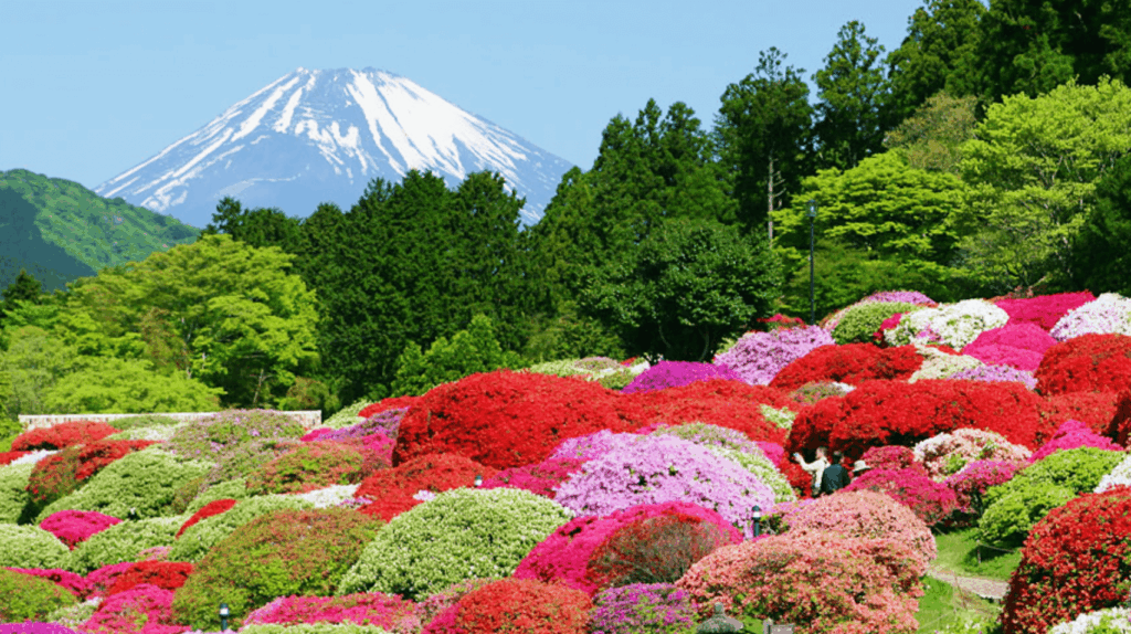 Hakone hotels with Mt. Fuji views, Hakone ryokan with Mt fuji views, Hakone ryokan mount fuji view, Hakone hotel mount fuji view, Fuji-view Hakone ryokan
