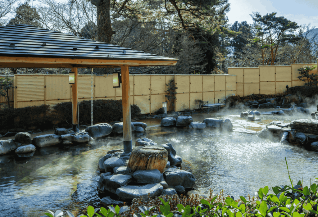 Hakone day use onsen, Hakone day trip onsen, Hakone day use private onsen, Hakone day-trip private onsen