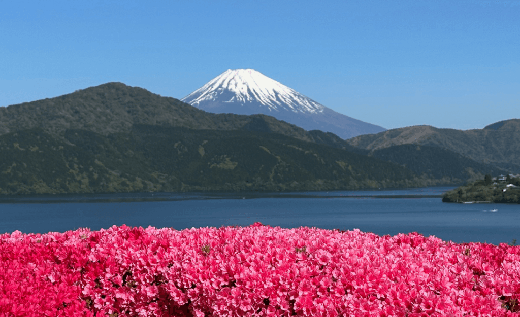 Best views of Mt. Fuji from Hakone, where to see Mt. Fuji in Hakone, best Mt. Fuji photo spots in Hakone