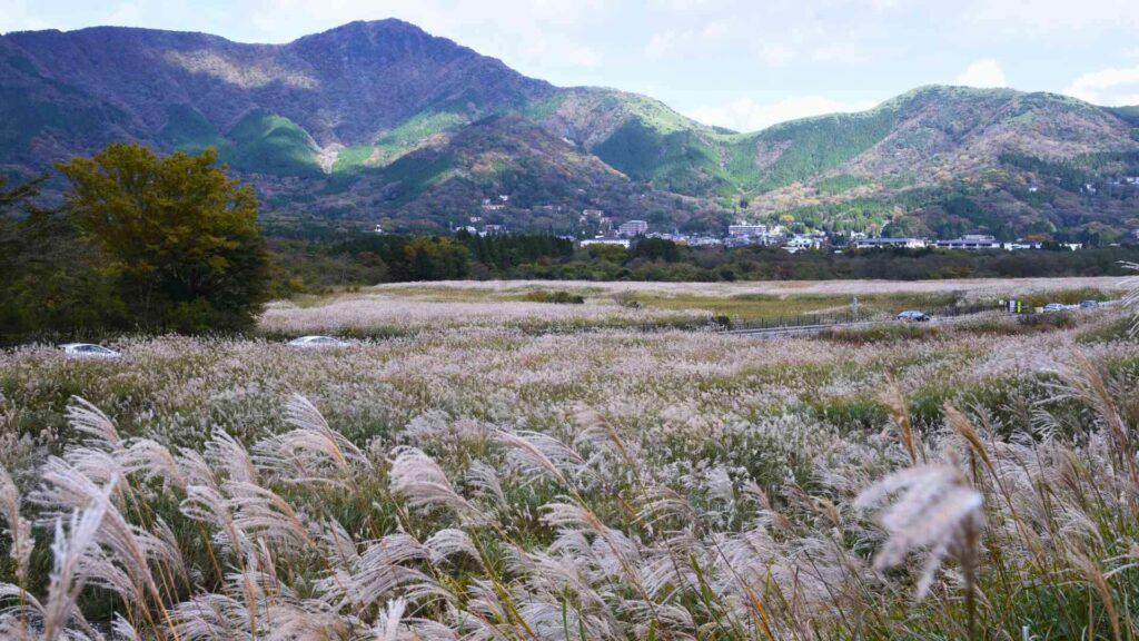 Hakone Yumoto, where to stay in Hakone, best neighborhood in Hakone, areas of Hakone guide, Hakone area guide, where to stay overnight in Hakone, best areas of Hakone