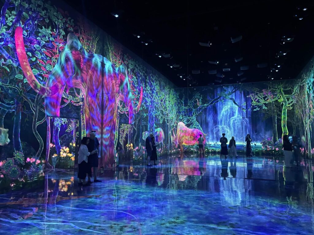 Teamlab Planets catch and collect forest, endangered animals forest Teamlab Planets