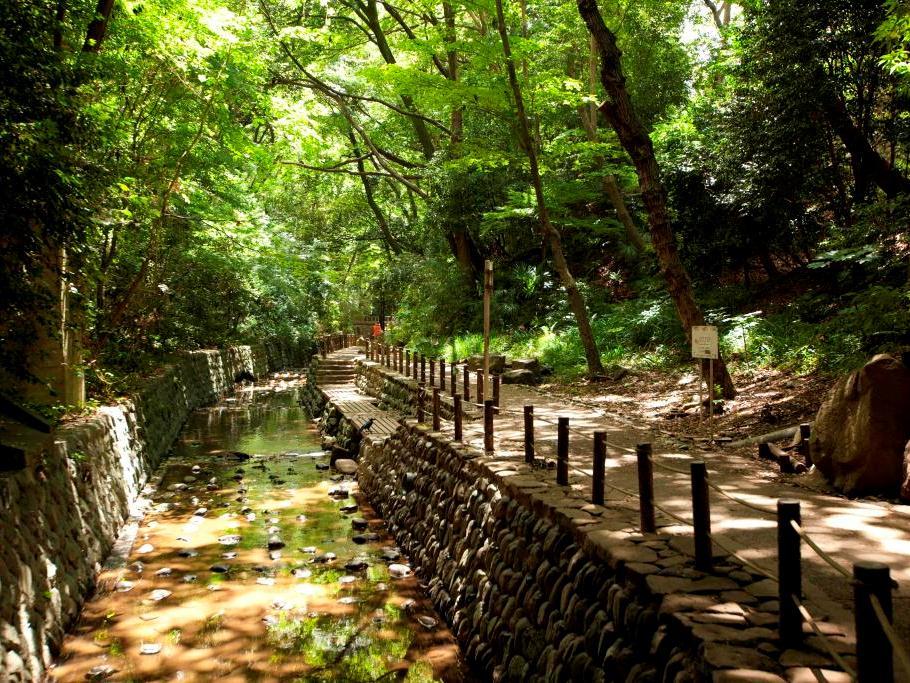 Best urban nature walks in Tokyo, best urban hikes in Tokyo, where to experience nature in Tokyo, Tokyo nature walks