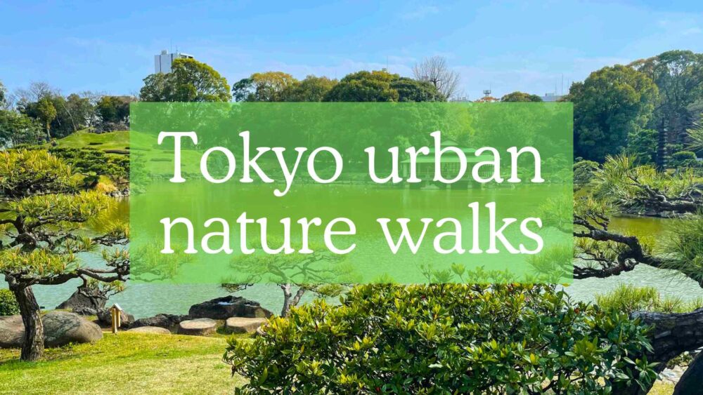 Best urban nature walks in Tokyo, best urban hikes in Tokyo, where to experience nature in Tokyo, Tokyo nature walks