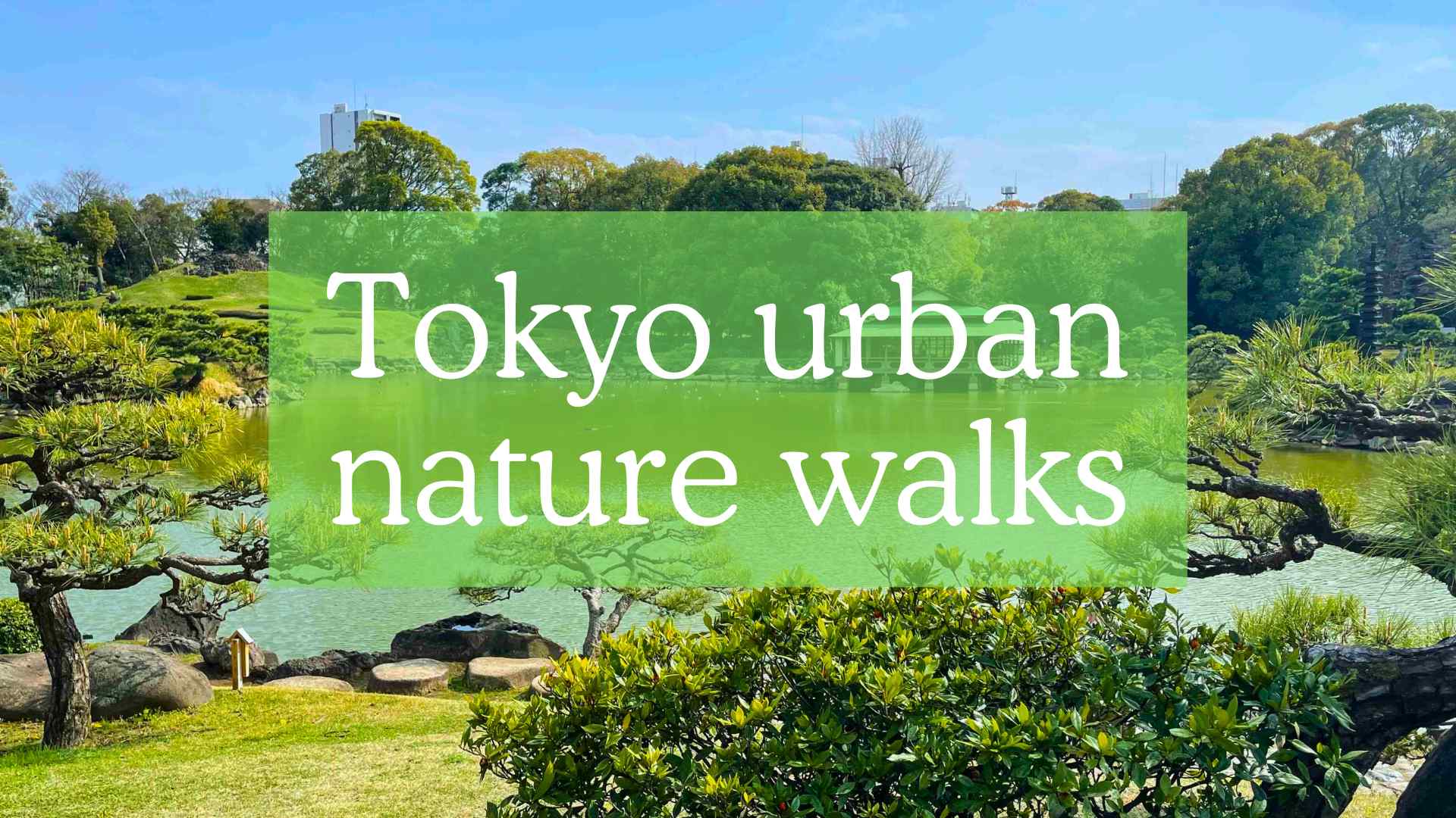 Best urban nature walks in Tokyo, best urban hikes in Tokyo, where to experience nature in Tokyo, Tokyo nature walks