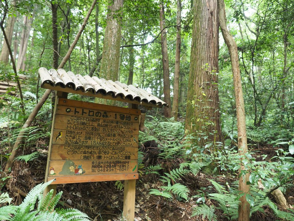 トトロのふるさと, Totoro Forest hiking in Tokyo, Best urban nature walks in Tokyo, best urban hikes in Tokyo, where to experience nature in Tokyo, Tokyo nature walks