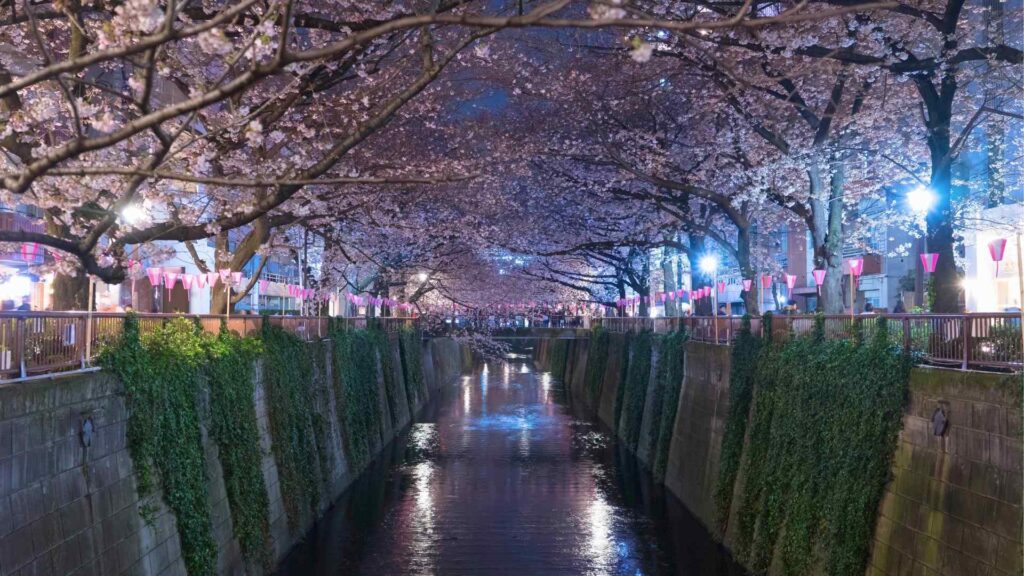 hidden gems in Tokyo, off the beaten path Tokyo Off-the-beaten-path things to do in Tokyo