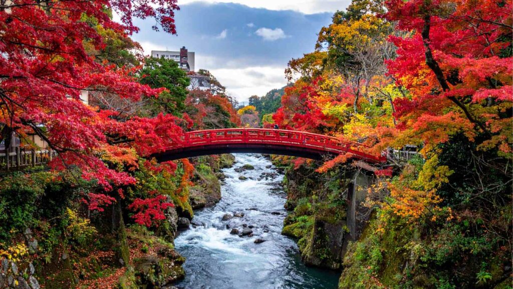 Which is better Nikko or Hakone, Hakone vs Nikko which should you visit?
