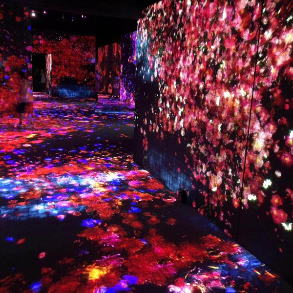 Experience Digital Art at Teamlab Borderless Museum in Odaiba, Tokyo Japan, tips on visiting