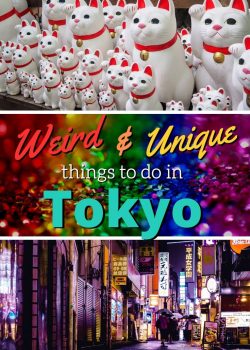 weird things to do in tokyo, unique things to do in tokyo, character street, gotokuji cat temple, mario kart, real like mario kart in tokyo, monster cafe, robot restaurant, sailor moon restaurant, ninja experience, weird tokyo experiences pinterest